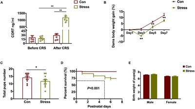 Differences in DNA Methylation Reprogramming Underlie the Sexual Dimorphism of Behavioral Disorder Caused by Prenatal Stress in Rats